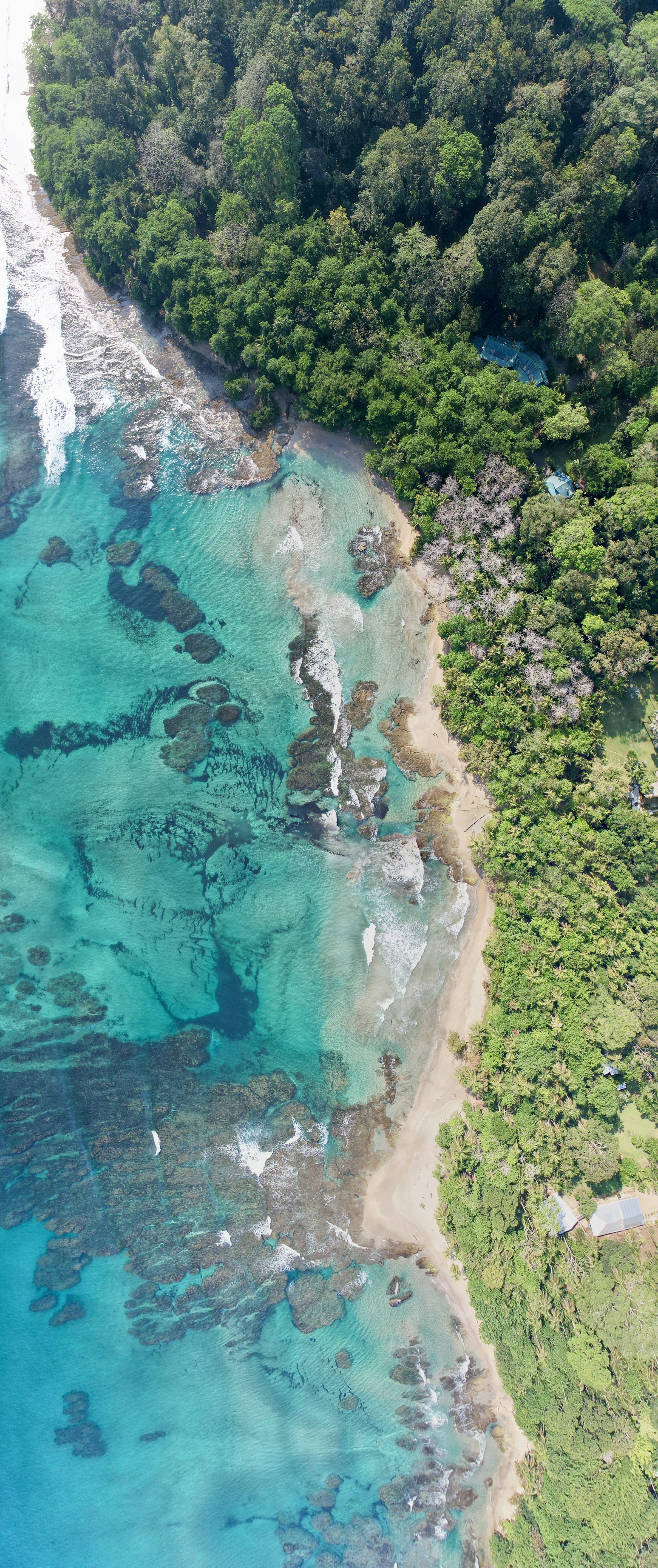A sweep of forest and turquoise Pacific water in Costa Rica